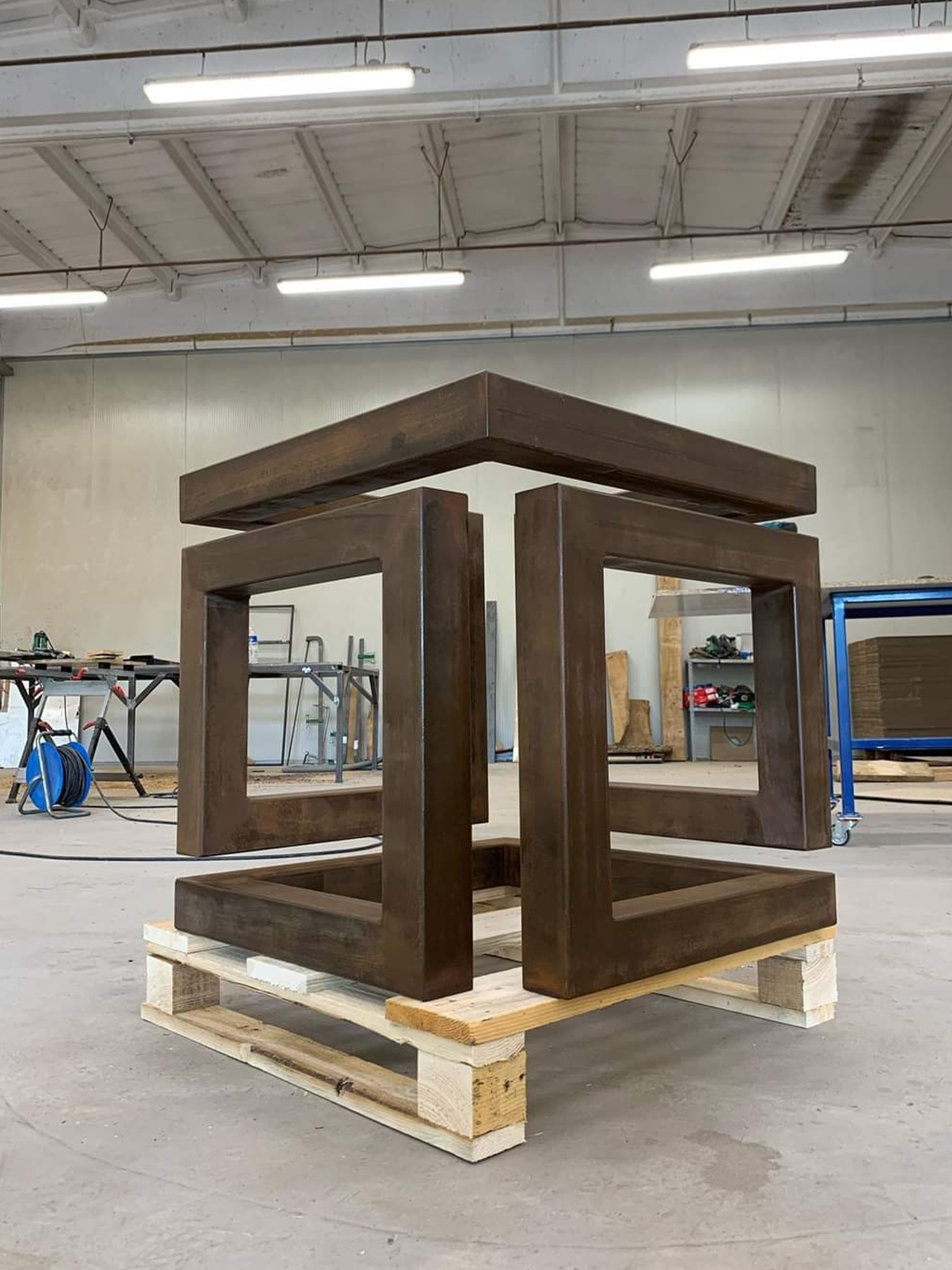 Carpenteria metallica 