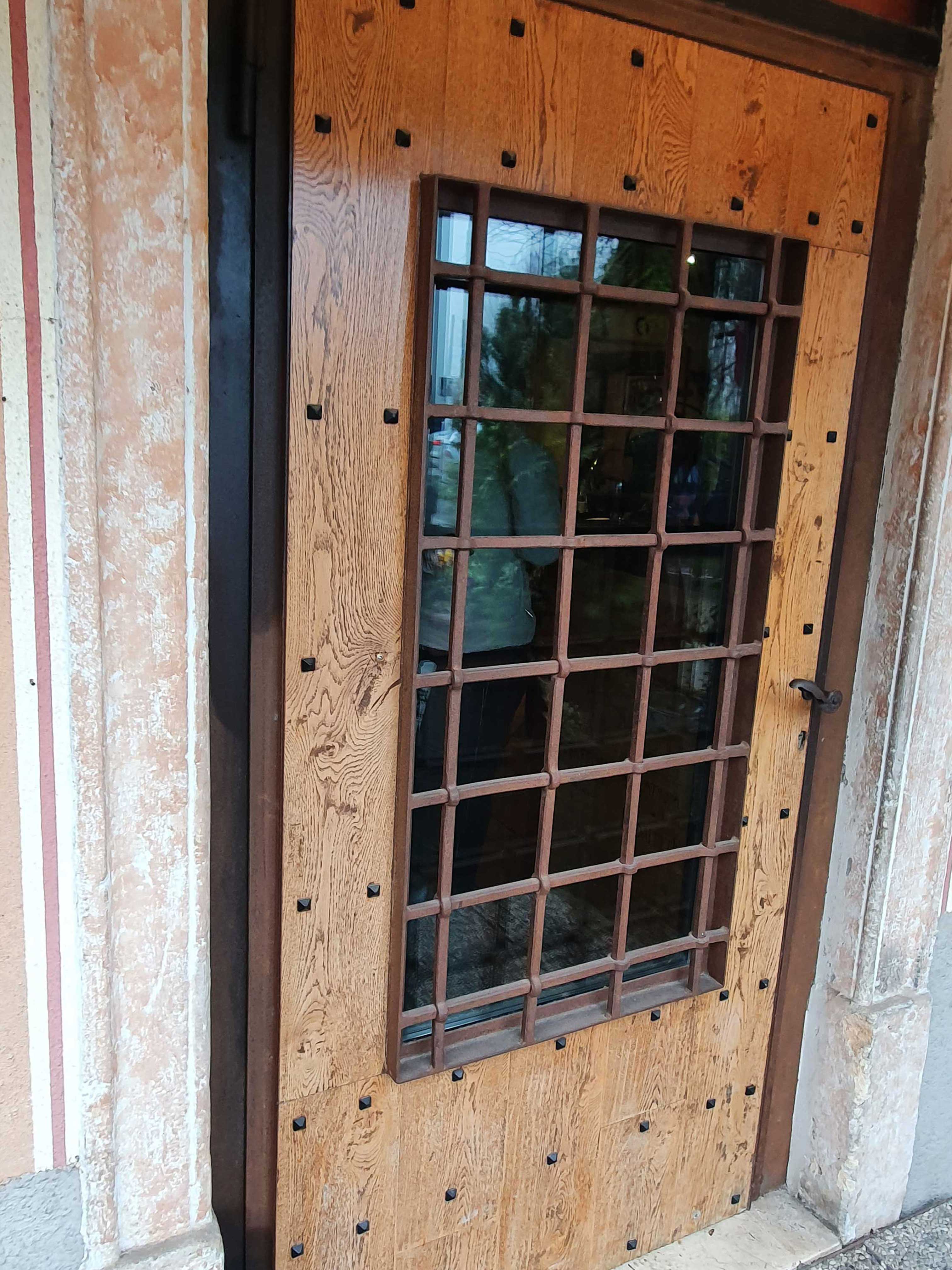 Carpenteria metallica 