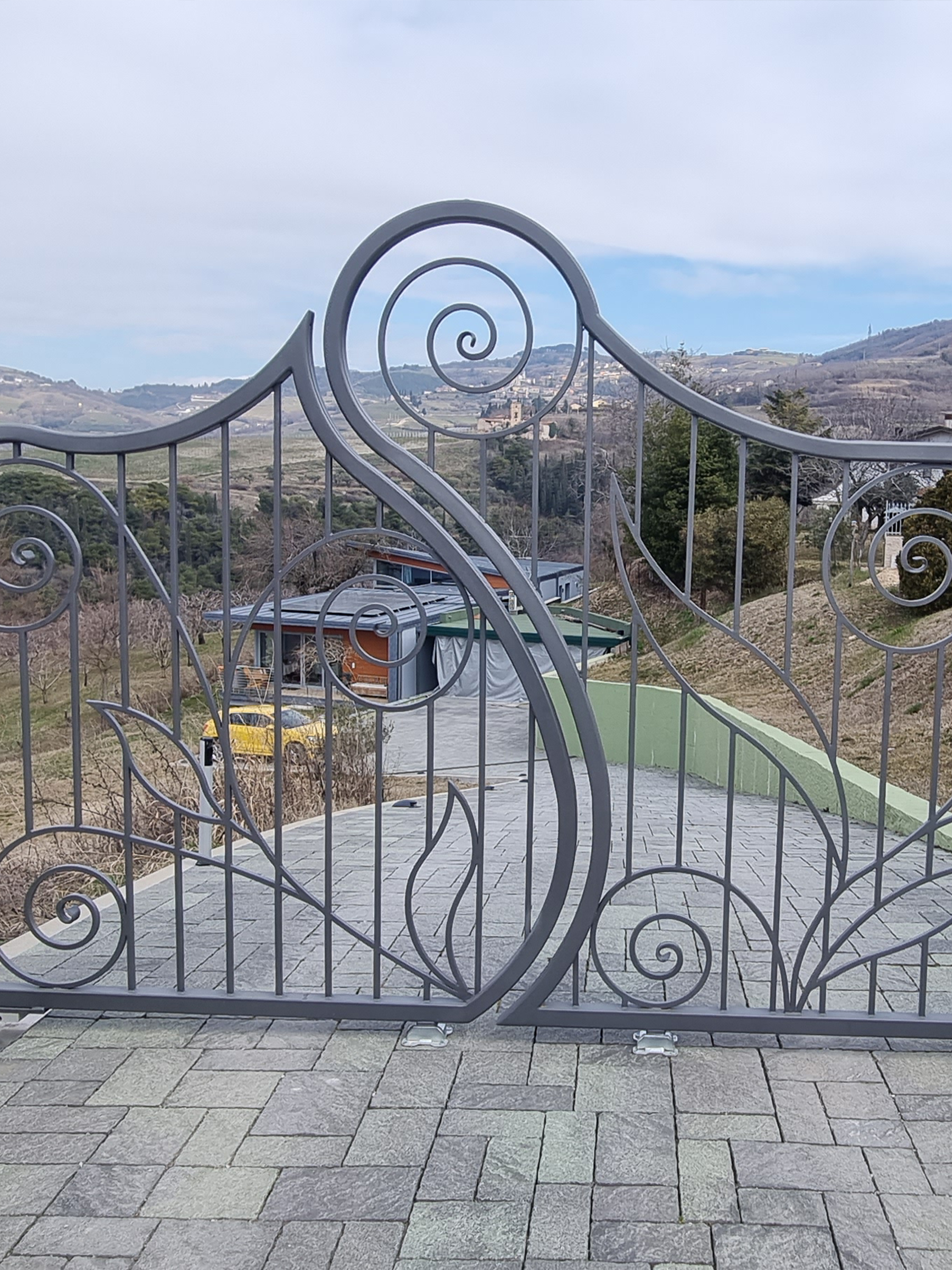 Carpenteria metallica 