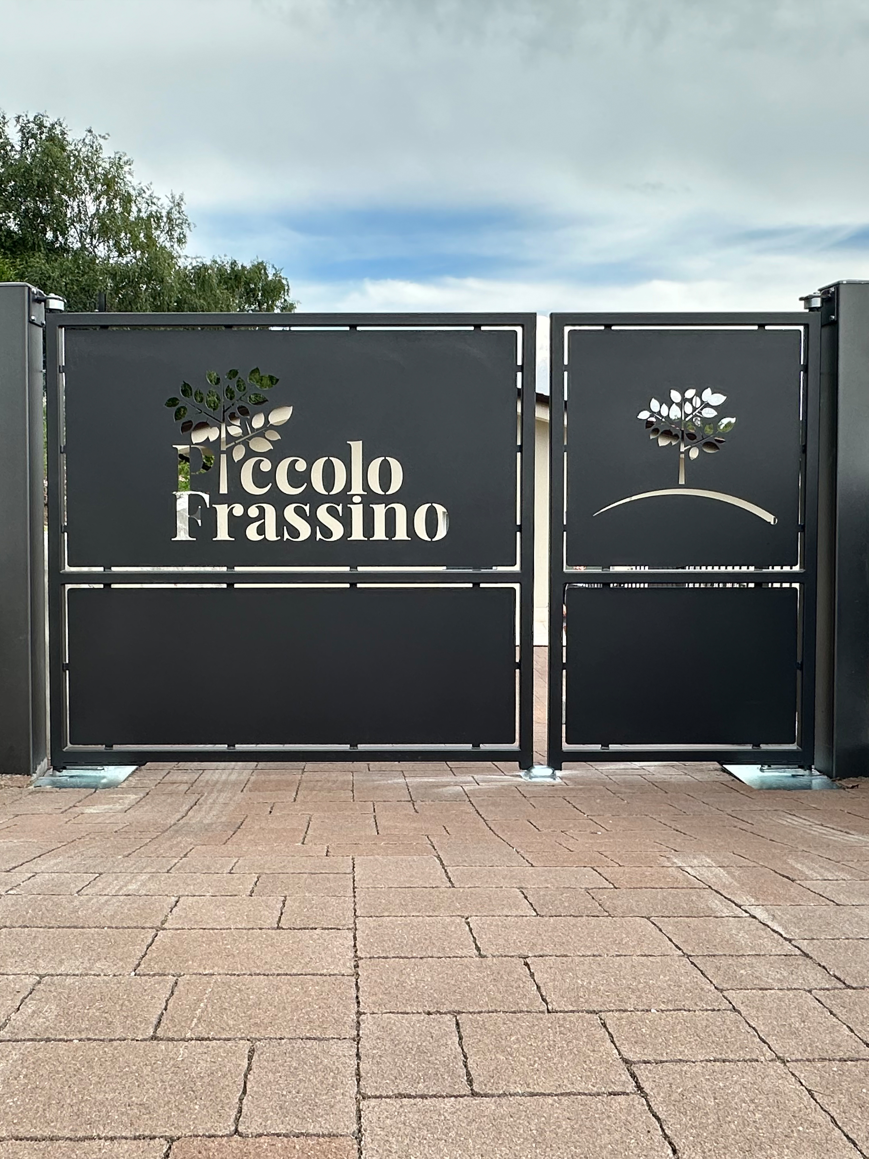 Carpenteria metallica 