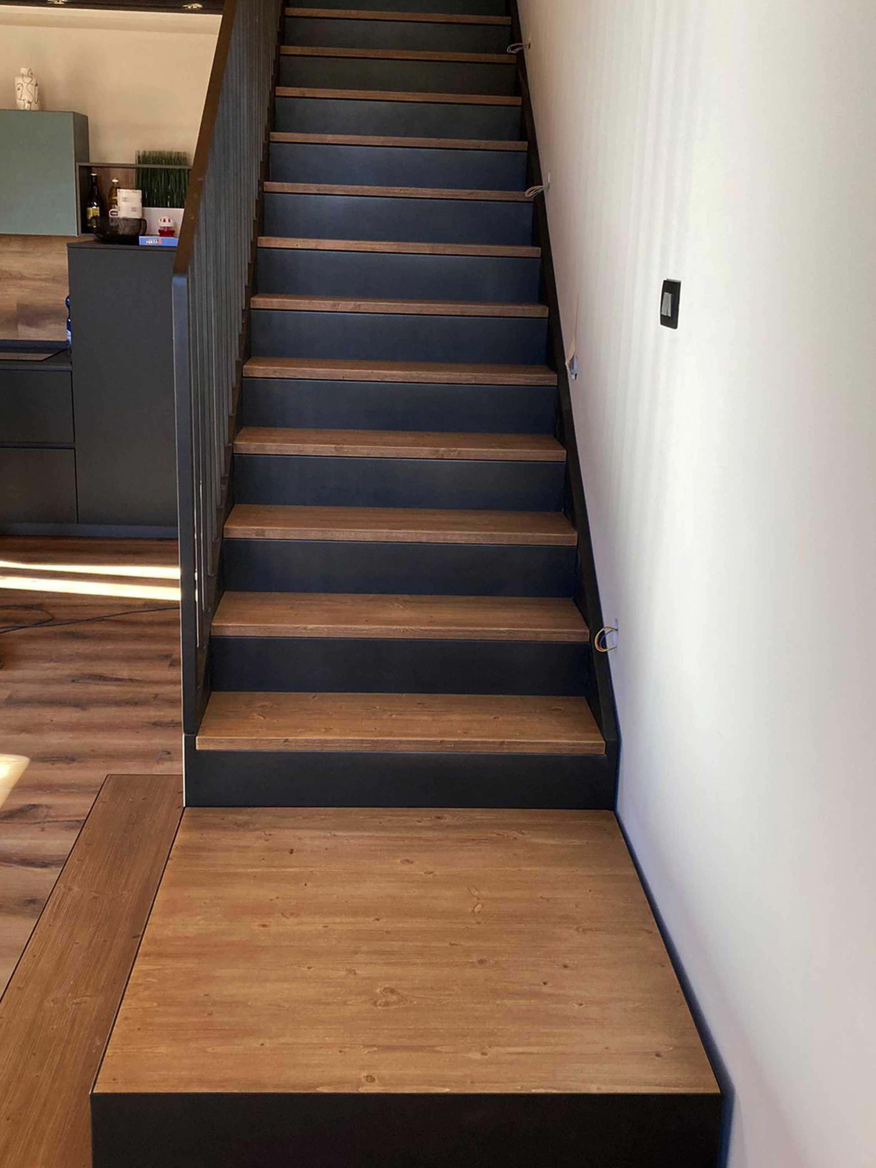 Carpenteria metallica 