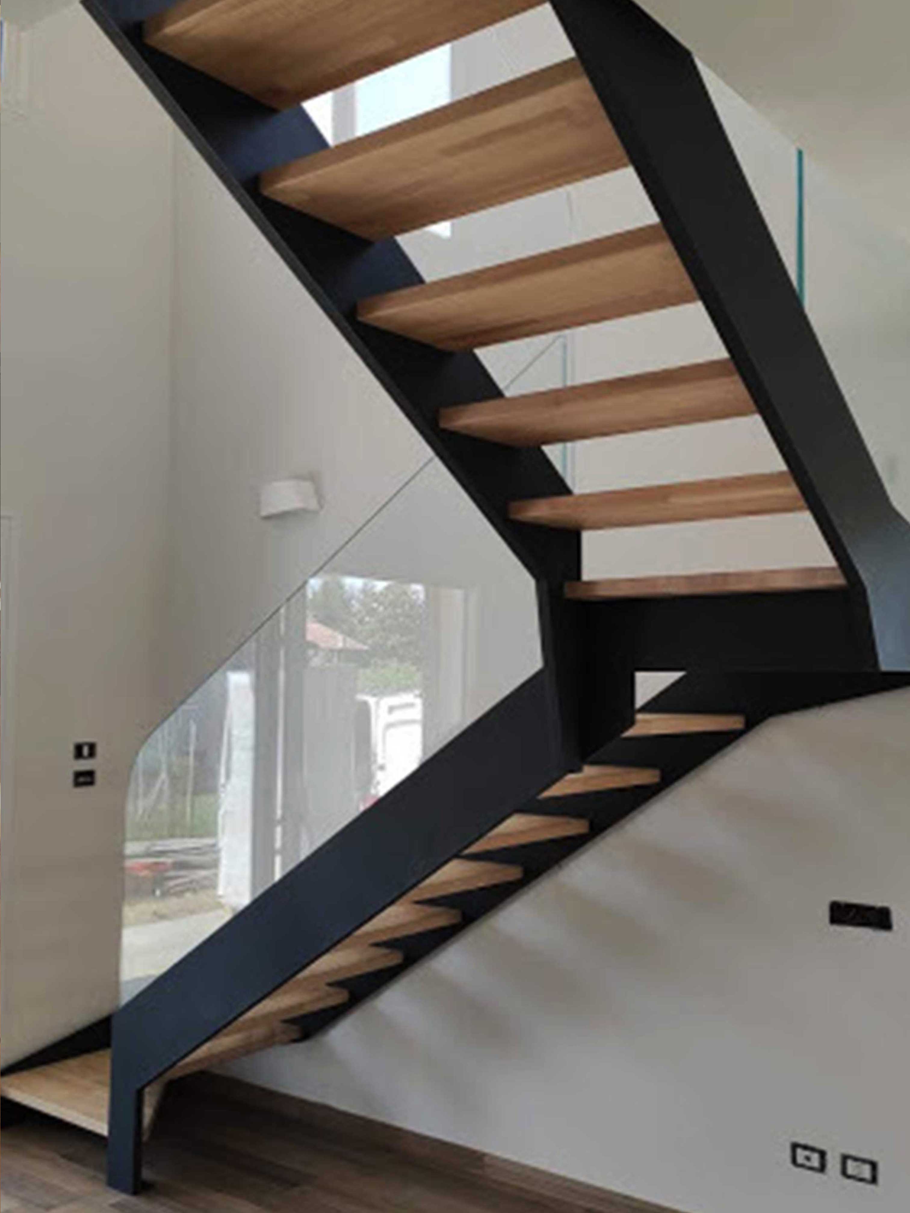 Carpenteria metallica 