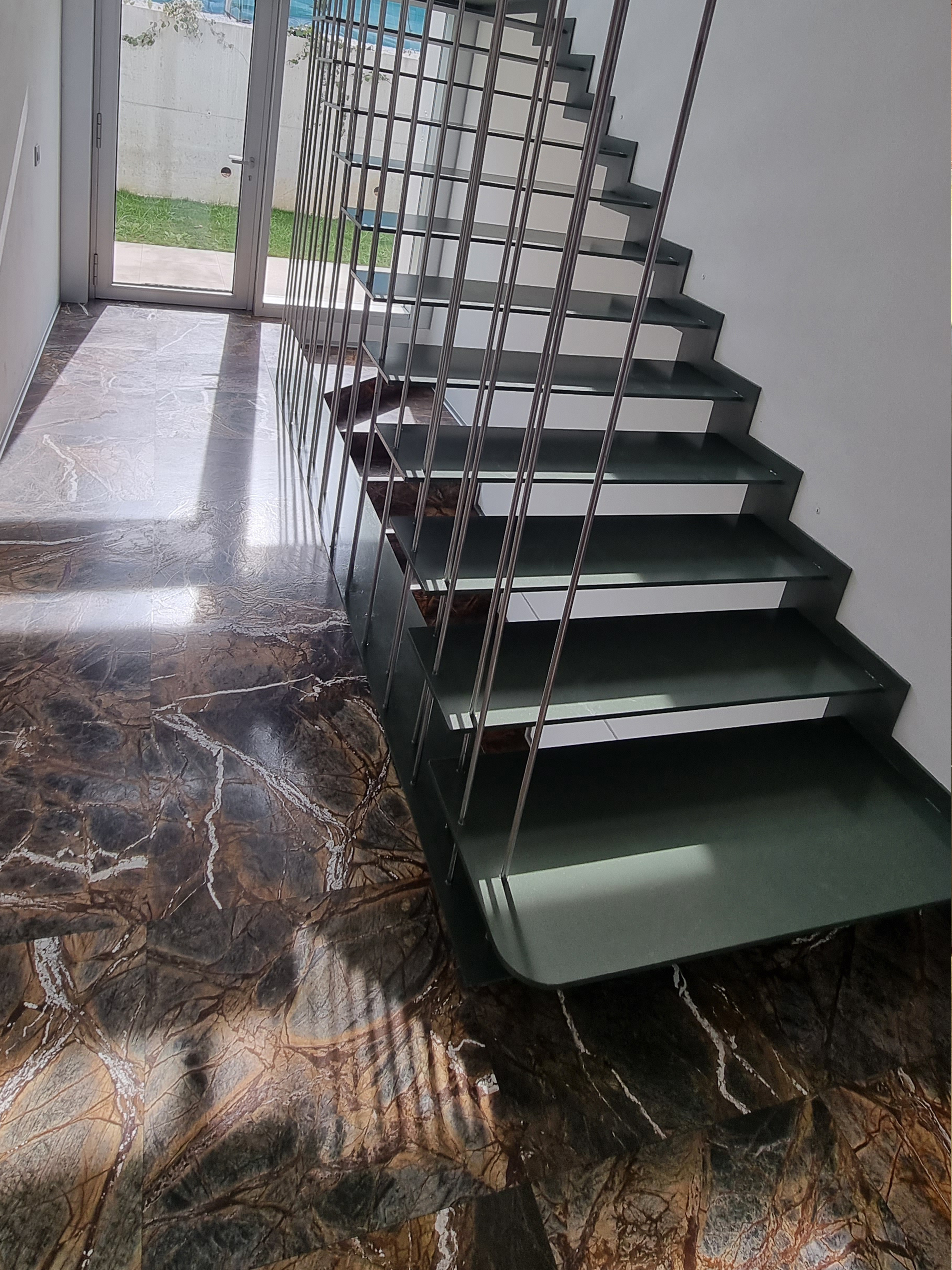 Carpenteria metallica 