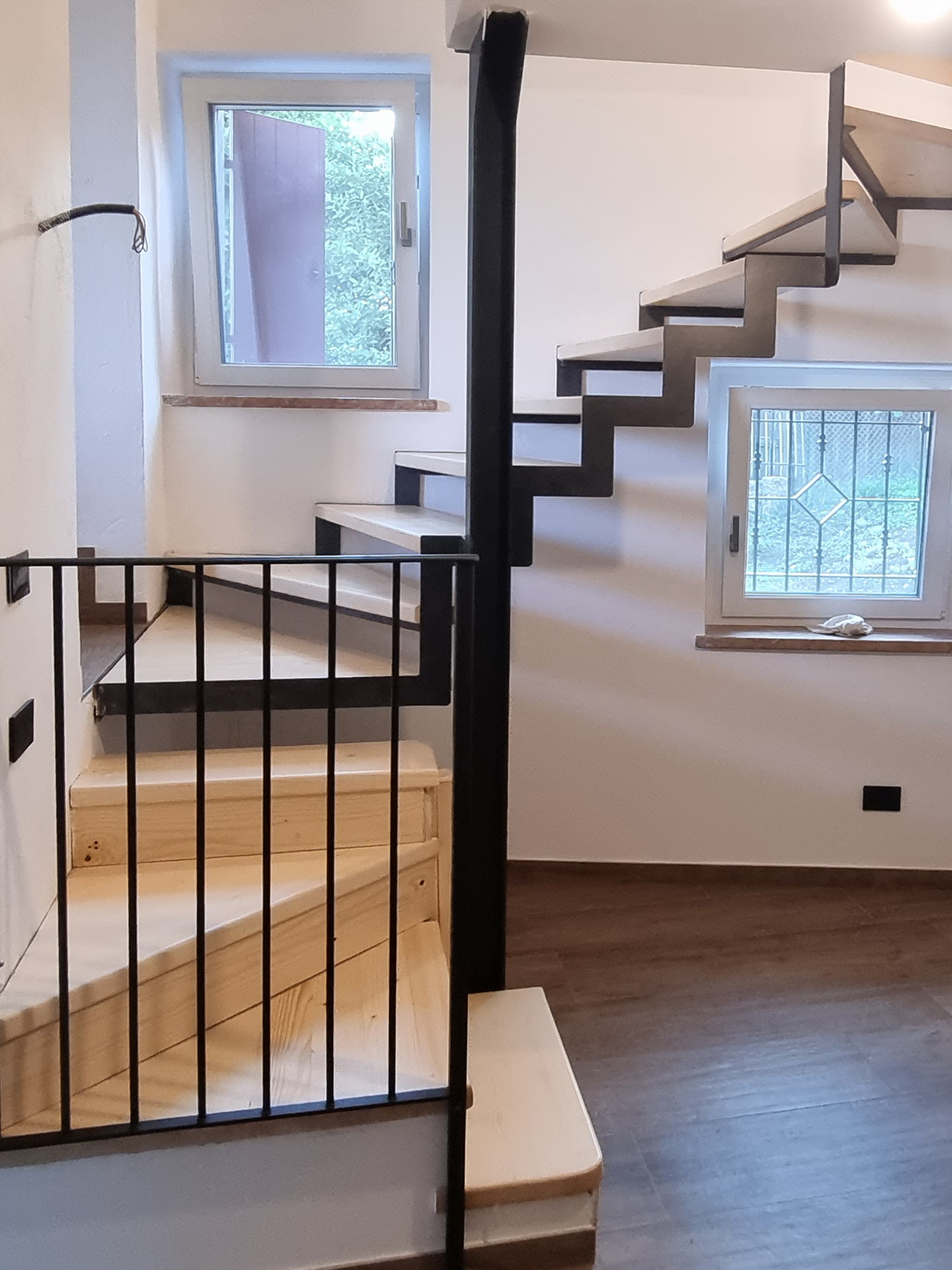 Carpenteria metallica 